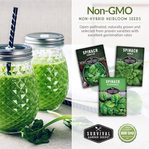 Survival Garden Seeds Spinach Seed Collection – 3 Packets of Seeds with Growing Instructions – Viroflay, Noble, Bloomsdale Spinach Varieties – Non-GMO Heirloom Open-Pollinated Seeds to Plant