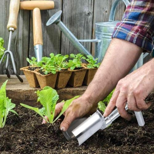 Garden Bulb Planter,Plant Seedling Transplanter,Stainless Steel Fruit Tree Transplant Drilling Tool,Bulb Planter Tool,Small Seed Planter Tool for Digging Holes to Transplanting