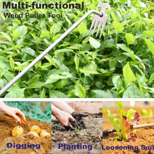Weed Puller Tool Garden Weed Pulling Tool,Portable Garden Stainless Steel Weeder Tool Uprooting Weeding Tool 4 Teeth Manganese Steel Forged Hand Weeder for Vegetable Gardening Planting Weeding 16inch