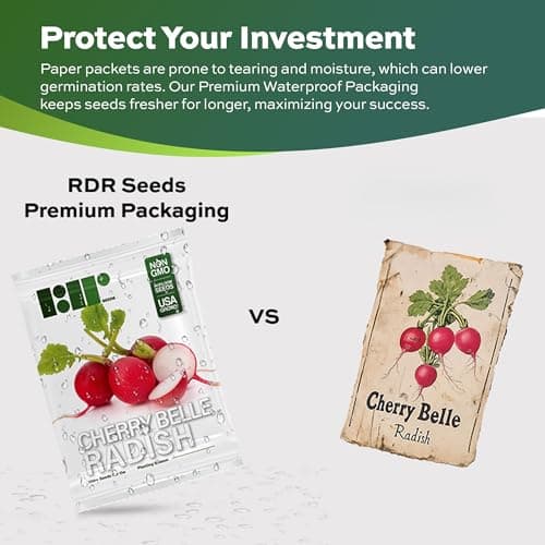 500 Cherry Belle Radish Seeds | USA Grown, Non-GMO, Heirloom | Fast-Growing, Sweet & Crisp | Harvest in 25 Days | Spring Vegetable for Gardeners of All Levels