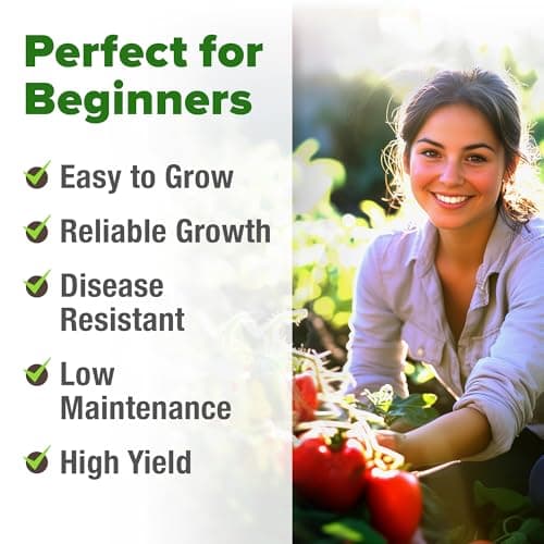 HOME GROWN San Marzano Tomato Seeds - 66 Non-GMO, USA Sourced Heirloom Tomato Seeds - Vegetable Seeds for Planting Indoor or Outdoor (Solanum lycopersicum)