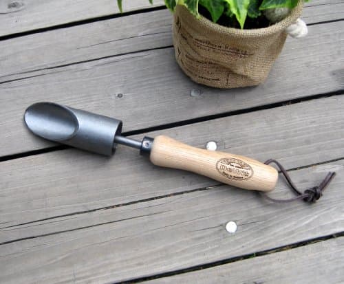 DeWit Bulb and Crocus Planter
