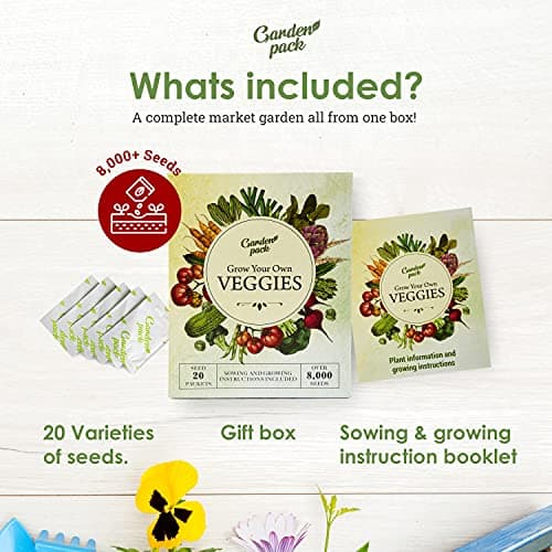 Garden Pack 20 Vegetable Seeds Varieties – High Yield Garden Seeds for Planting Vegetables – Over 8,000 Premium, Non-GMO Heirloom Seed for Outdoor & Indoor Garden