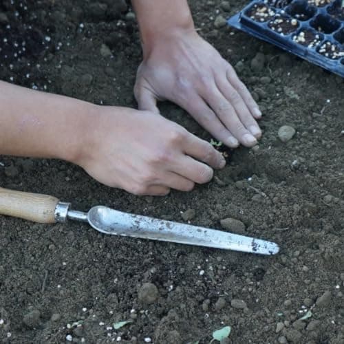 Narrow Garden Shovel,Stainless Steel Hand Garden Trowel for Piking and Transplanting, Long Handle Trowel,for Garden,Lawn,Farmland,Block Paving Weed and Fertilization.