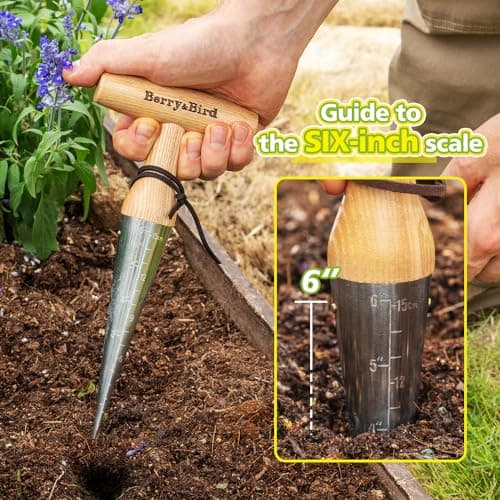 Hand Dibber – Precision Wood Handle Garden Hole Punch Dibbler Tool for Planting Seeds & Bulbs with 6'' Measuring Scale, Bulb Planter for Planting Flowers Tulips Daffodils Dahlias