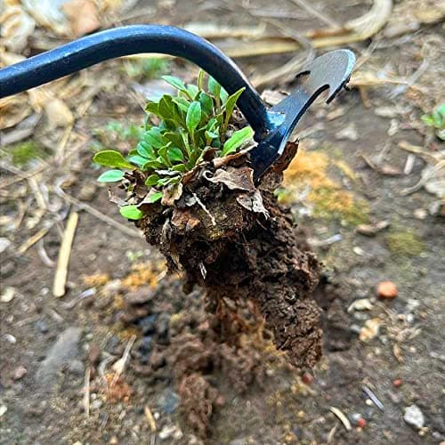2023 New Weeding Artifact Uprooting Weeding Tool, Premium Manganese Steel Forged Weed Puller 4 Teeth Dual Purpose Weeder, Hand Weeder Tool for Gardening with Long Handle (11.4 Inch Iron Handle)