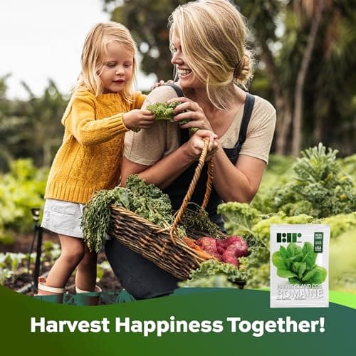 3000 Parris Island Cos Romaine Lettuce Seeds - 4+ Grams - Heirloom Non-GMO USA Grown Premium Vegetable Seeds for Planting - by RDR Seeds
