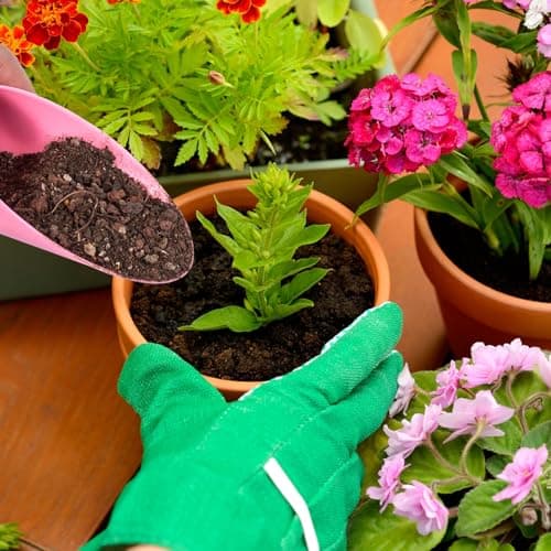 12pcs Garden Shovel Hand Tools Transplanting Succulent Cultivation Digging Scoops Kits Plastic for Flower Planting Bonsai Potting Soil Indoor(Pink Blue Green)