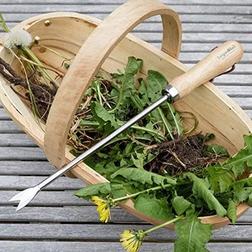 Burgon & Ball Stainless Steel Dandelion Weeder with Wooden Handle | RHS Endorsed & FSC Wood