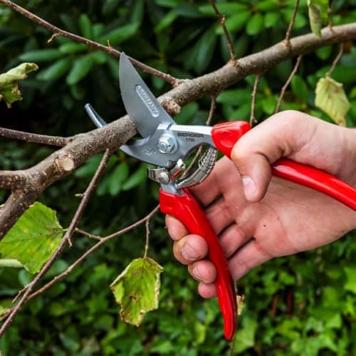Professional Pruning Shear, Chrome-Coated Straight Blade, Forged Steel Body, Sap Groove to Prevent Sticking, Wire Cutting Notch, 1760