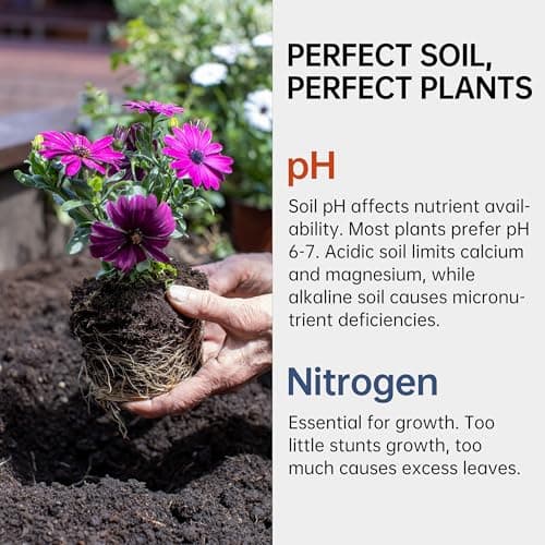 AAwipes Soil pH & Nitrogen Test Kits 2 in 1 Soil Testing Kits with Test Tube 100 Pcs Test Soil for Garden Lawn Grass Flower Vegetable Compost Nutrients Plants (J02-100)