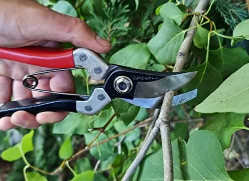 Kimura® 8" Samurai Garden Pruning Shears, [Made in Japan], Heavy Duty Premium Japanese Yasugi Steel Blades, Non-Slip Vinyl Coated Handles, Ergonomic, Japanese Bypass Pruning Shears