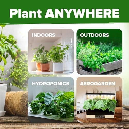HOME GROWN 15 Culinary Herb Seeds 4,500+ Heirloom 𝗡𝗢𝗡-𝗚𝗠𝗢, 𝗨𝗦𝗔-𝗦𝗢𝗨𝗥𝗖𝗘𝗗 High Germination Rate, for Planting Indoor Hydroponic Outdoor, Gardening Gifts for Women Men, Mothers Day Gifts