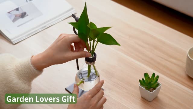 Marbrasse Desktop Glass Planter Hydroponics Vase,Planter Bulb Vase with Holder for Home Decoration,Modern Creative Bird Plant Terrarium Stand, for Plant Terrarium