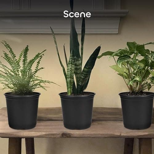 GROWNEER 24 Set 6" 1 Gallon for Plants Flexible Nursery Pot with Drainage Hole and 15 Pcs Plant Labels Flower Plant Container for Indoor Outdoor Seedlings Vegetables Succulents(Black)