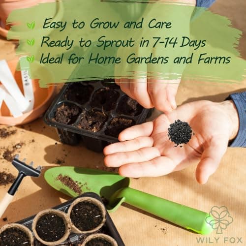 Premium Rare Yard Long Bean Seeds for Planting - 50 Non-GMO Seeds, Easy to Grow, High Yield, Delicious Productive Long Bean Variety for Home Garden and Backyard