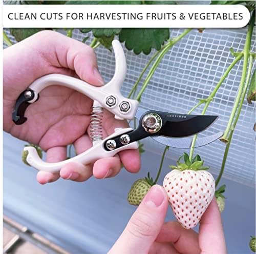 Bypass Pruning Shears Hand Pruner Garden Trimming Scissors Plant Trimmers Herb Snips Flower Clippers Ergonomic Handle Modern Garden Tools (Classic Cream)