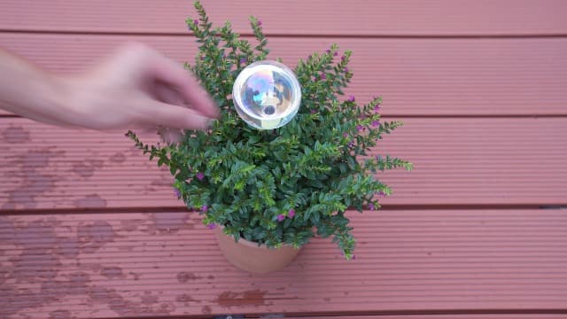 [2 PCS] Light Iridescent Rainbow Gradient Color Clear Glass Self-Watering System Spikes, Automatic Plant Waterer Bulbs