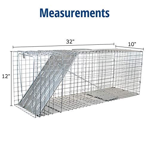 HAVAHART 1079SR Large 1-Door Humane Catch and Release Live Animal Trap Cage - Live Raccoon Trap, for Bobcats, Beavers, Dogs, & More