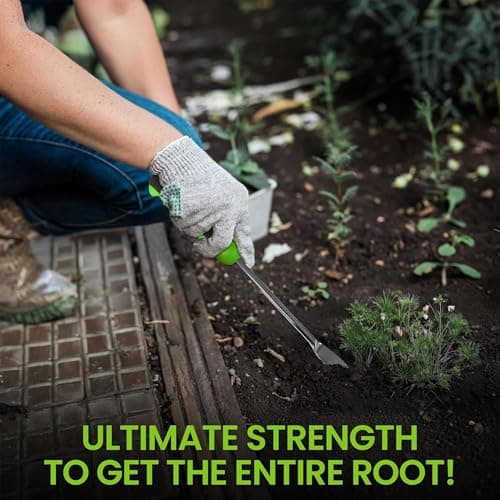 Garden Guru Dandelion Weeder Tool with Ergonomic Handle - Stainless Steel Weed Puller for Planting, Weeding, Flower and Vegetable Care in Lawn Garden Yard | Rust Resistant