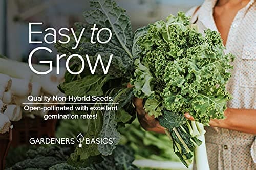 Gardeners Basics, Kale Seeds for Planting, Heirloom, Non-GMO Vegetable Variety - Great for Indoor, Outdoor, and Hydroponics Gardening (Vates Blue Scotch Curled)