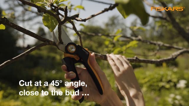 Fiskars Pruning Shears, PowerGear2 Technology Multiplies Power, Rolling Handle for Ease of Use, 3/4-Inch Cut Capacity Bypass Pruner, UltraBlade Coating and SoftGrip, Garden and Yard Tools