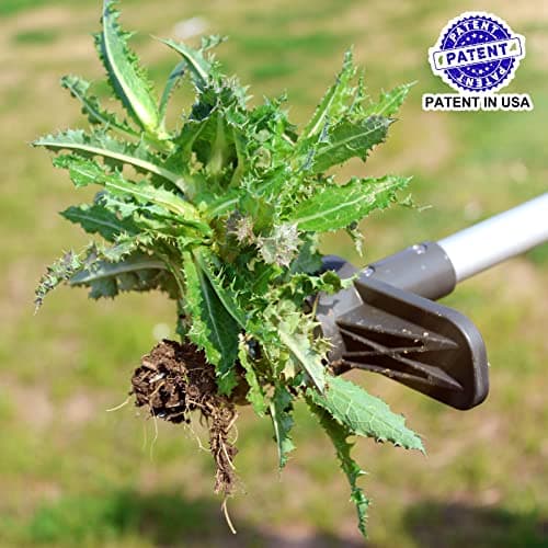 Walensee Upgraded Weed Puller, Stand Up Weeder Hand Tool, Long Handle Garden Weeding Tool with 5 Claws, Hound Weed Puller for Dandelion, Standup Weed Root Pulling Tool and Picker, Grabber (1 Pack)