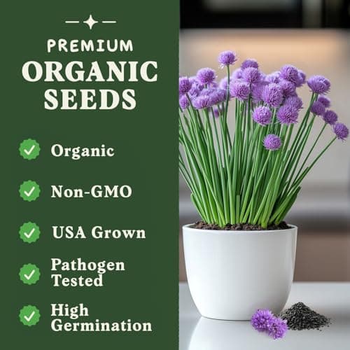 Organic Chive Seeds for Planting Indoor and Outdoor, Non-GMO and USDA Certified Herb Seed Packet for Hydroponic Garden Indoor or Planting Outdoors (Common Chives)