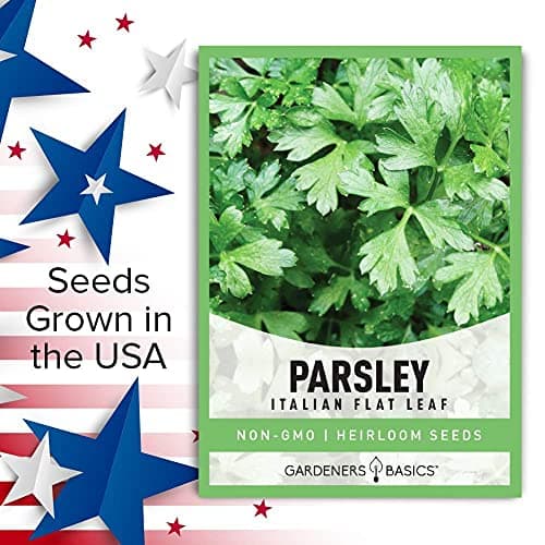 Gardeners Basics, Parsley Seeds for Planting, Italian Flat Leaf is A Heirloom, Open-Pollinated, Non-GMO Herb Variety- Great for Indoor and Outdoor Gardening and Herbal Tea Gardens