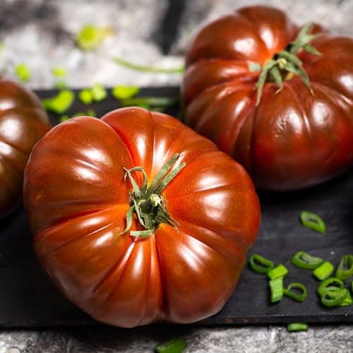 Purely Organic Tomato Seeds (Cherokee Purple) - Approx 75 Seeds - Certified Organic, Non-GMO, Open Pollinated, Heirloom, USA Origin