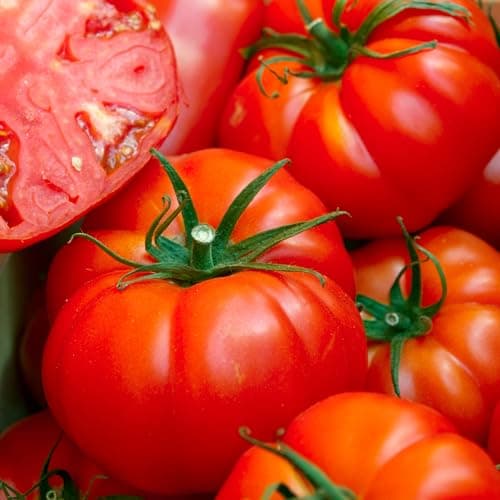 Organic Tomato Seeds (Ponderosa Red Beefsteak) - Approx 75 Seeds - USDA Organic, Non-GMO, Open Pollinated, Heirloom, USA Origin