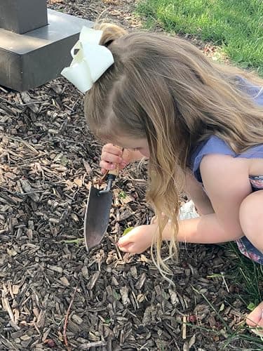 DeWit Junior Kid's Hand Trowel