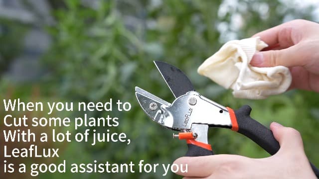 8" Professional Heavy Duty Anvil Pruning Shears with Anti-Rust SK-5 Blades, Garden Shears for Dry Stems and Small Branches, Gardening Scissors, Clippers for Wood, Non-Slip Handle. | LFXP1108S