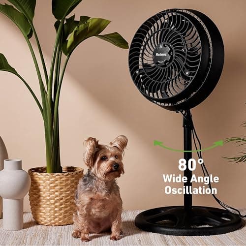 HOLMES 16" Outdoor Misting Stand Fan, Hose Connection, 3 Speeds, 3 Micro-Mist Levels, 80° Oscillation, Adjustable Height, 25° Head Tilt, GFCI Plug, Black