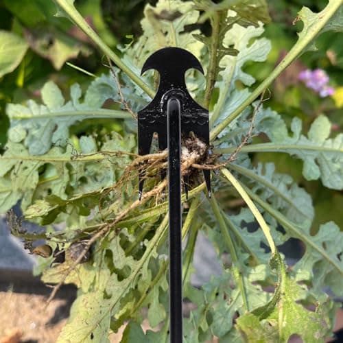 Garden Weed Pulling Tool Uprooting Weeding Tool, 4 Teeth Weed Puller Tool Manganese Steel Garden Weeder Tool for Vegetable Gardening Planting (Black, 2 Pack, 16 inches)