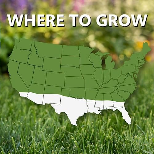 Jonathan Green (10820) Fast Grow Grass Seed - Cool Season Lawn Seed (3 lb)