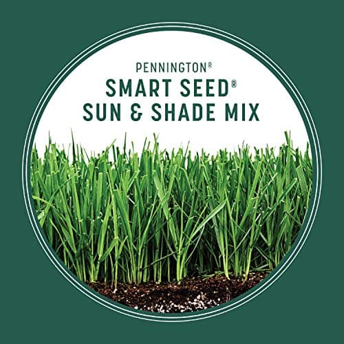 Pennington Smart Seed Sun and Shade Grass Mix 7 lb
