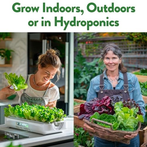 HOME GROWN 8 Lettuce & Salad Greens Seed Vault - 4,000+ 𝗡𝗢𝗡-𝗚𝗠𝗢, 𝗨𝗦𝗔-𝗦𝗢𝗨𝗥𝗖𝗘𝗗 Vegetable Seeds for Outdoors or Indoors - Seeds for Planting Hydroponic Garden