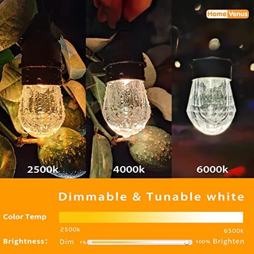 HVS Smart Outdoor String Lights LED 24Ft 12Bulbs Tunable Dimmable Warm White Waterproof Shatterproof Cafe Patio Lights,APP Control 2.4GHZ WiFi Alexa Google Balcony Backyard Porch(3 Core Wire, WW-24FT)