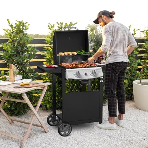 Propane Gas Grill 21000 BTU with 2-Burner,325 sq.in. Outdoor BBQ Grill for Barbecue Cooking with Top Cover Lid,Wheels,Side Storage Shelves,Barbeque Stove for Patio Garden Camping,Black