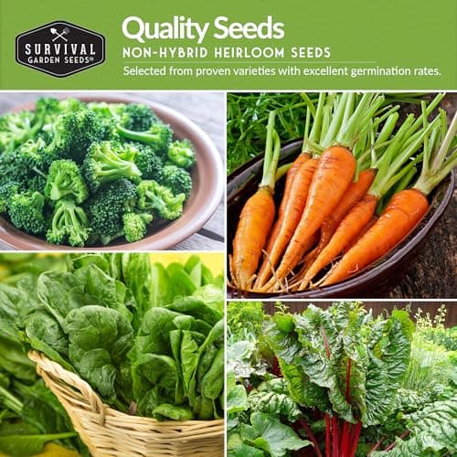 12 Vegetable Seed Variety Pack - Broccoli, Carrot, Basil, Lettuce, Onion, Pepper, Swiss Chard, Tomato, Cucumber, Spinach, Zucchini, Spaghetti Winter Squash - Non-GMO Heirloom - Survival Garden Seeds