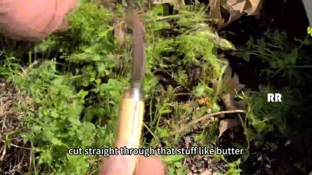 SHANFEEK Grass Sickle with Sawtooth Japanese Weeding Hoe Weeding Tools for Garden High Toughness Stainless Steel with Hard Solid Wood Handle(Yellow)