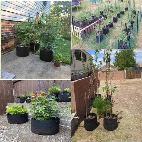 12-Pack 3 Gallon Grow Bags, Heavy Duty Aeration Fabric Pots with Sturdy Handles, Thickened Fabric Pots for Plants