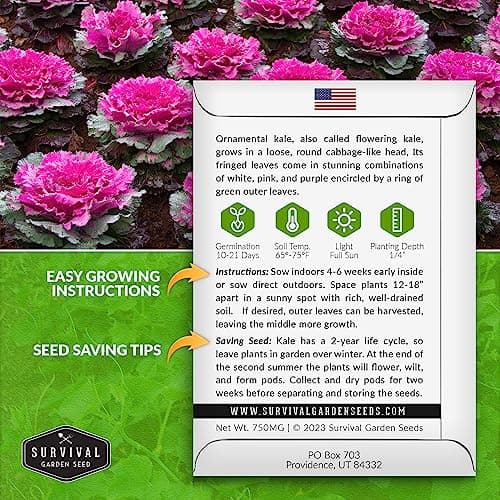 Ornamental Kale Seed for Planting - 1 Packet with Instructions for Growing Ornamental Flowering Kale Plants in Your Home Vegetable Garden - Non-GMO Heirloom Variety - Survival Garden Seeds