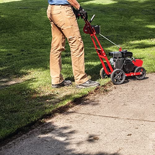 EARTHQUAKE 41273 79cc 4-Cycle Walk-Behind Edger, Red/Black