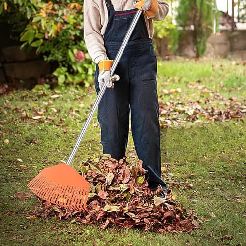 Garden Lawn Rake Sturdy Non-Slip 25 Plastic Tines 57.2 INCH Long Adjustable Handle for Yard Leaf Collecting Women Kids Rake for Gardening RV Camping