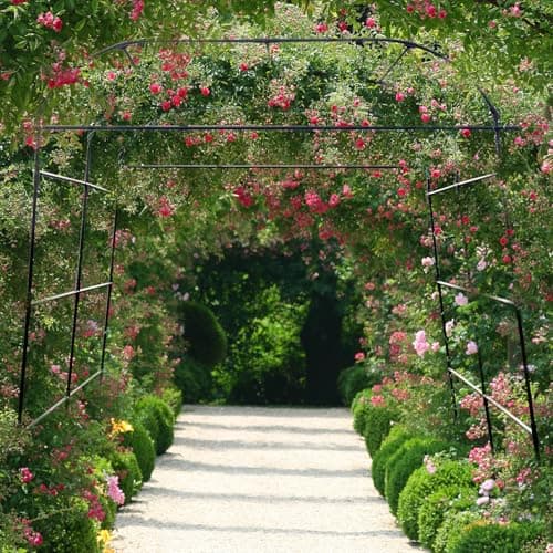 Garden Arch Trellis for Climbing Plants Outdoor, Grape Vine Tomato Bean U Frame Plant Vegetable Support, Cucumber Pergola for Backyard, Black