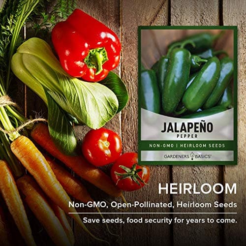 Gardeners Basics, Jalapeno Pepper Seeds for Planting Heirloom Non-GMO Jalapeno Peppers Plant Seeds for Home Garden Vegetables Makes a Great Gift for Gardeners