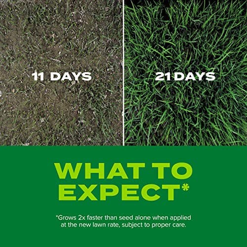 Scotts Turf Builder Rapid Grass Tall Fescue Mix, Combination Seed and Fertilizer, Grows Green Grass in Just Weeks, 5.6 lbs.