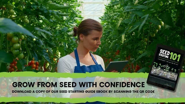 Seeds for Planting Flowers: 8 Bulk Variety Packets Zinnia, Nasturtium, Marigold, Purple Coneflower, Cosmos, Calendula, Bachelor's Button & Sunflower Seeds, Non GMO Flower Seeds by Sustainable Sprout